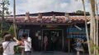 水牛車と自転車