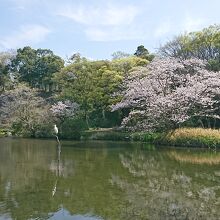 八景水谷