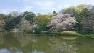 桜と水の公園