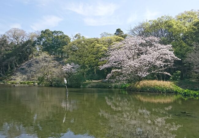 桜と水の公園