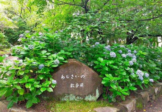 鶴舞公園