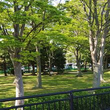 千鳥南公園