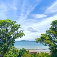 レストラン外からの景色