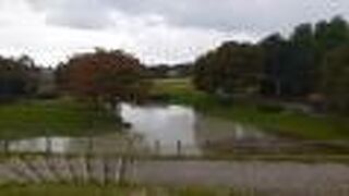 見る箇所によっては景観を楽しめますが・・・