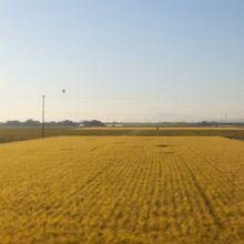 江北駅近く。バルーンと雲仙普賢岳。