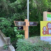 稲荷山コースで頂上へ