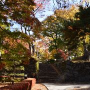 小諸の紅葉のスポット