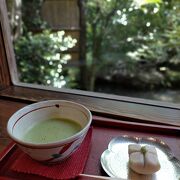 和菓子屋のカフェから庭の一部を見ることができます