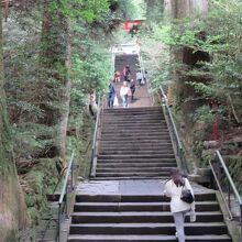 箱根神社までの長い階段の参道です。