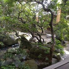 カフェから見える庭