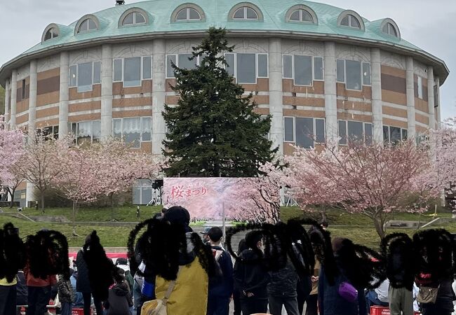 優駿の里浦河桜まつり