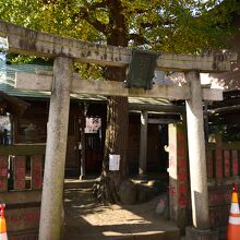 佃波除稲荷神社