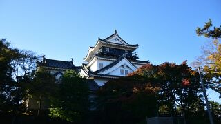 愛知県岡崎市にある城