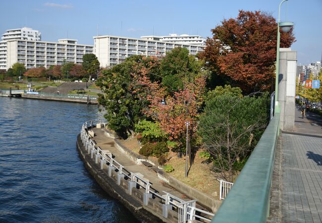 中の島公園