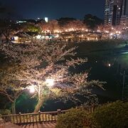 岡崎の桜まつり