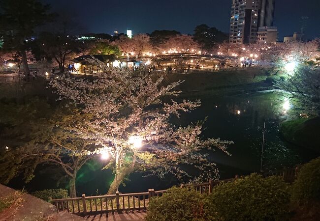 岡崎の桜まつり