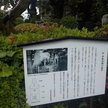 伊東祐親の墓についての説明は道路側にありました。
