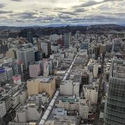 仙台の景色を一望