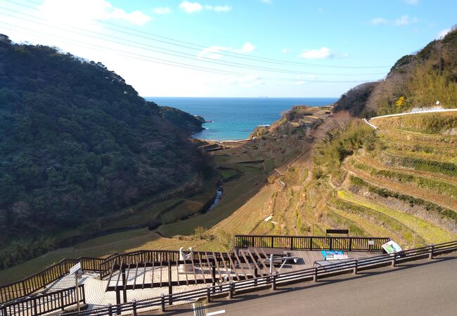 棚田と海の景色が素晴らしい