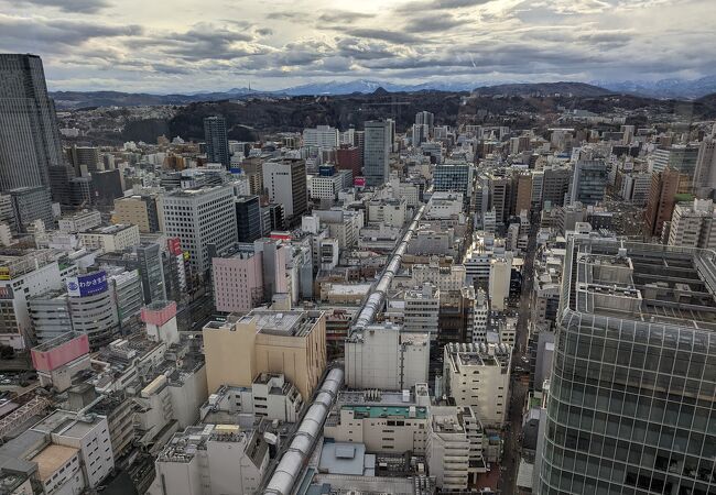 仙台の景色を一望