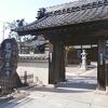 樹齢500年の大楠