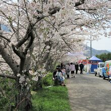 道の駅 ひなの里かつうら