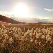 すすき満開の曽爾高原