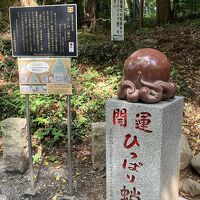 高尾山 ひっぱり蛸