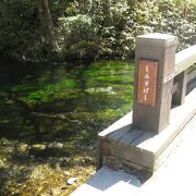 注目すべきは橋の下を流れる小さな川