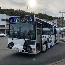 パンダバスも走ります