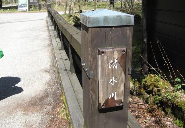 透き通った流れに水草がゆらゆら