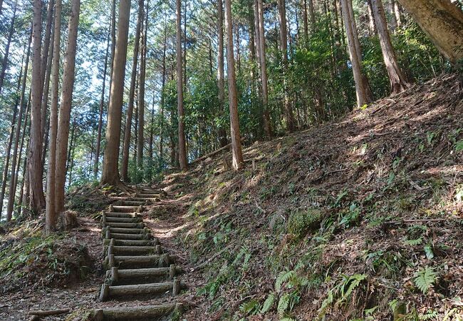 足助の、小高い山