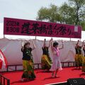 蓬莱橋ぼんぼり祭り