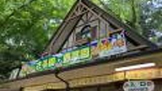 高尾山さる園 野草園