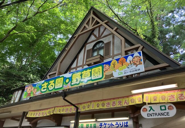 高尾山さる園 野草園