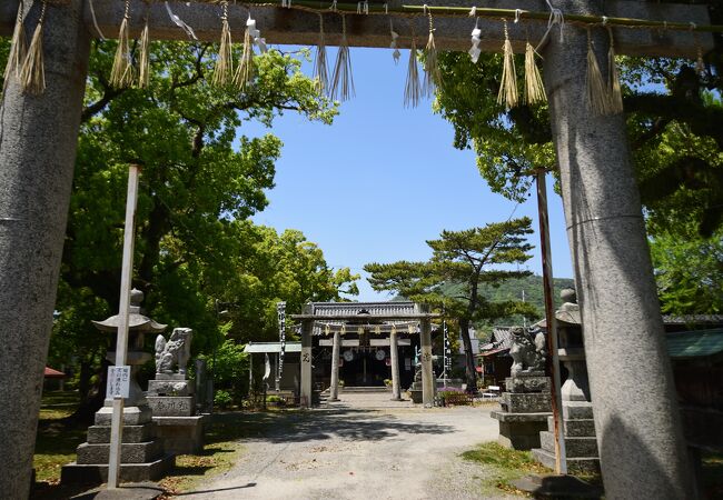 徳島県の一宮