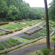 岐阜県百年公園