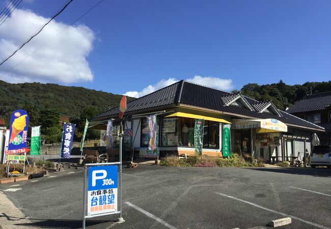 夏みかんソフトが食べられます