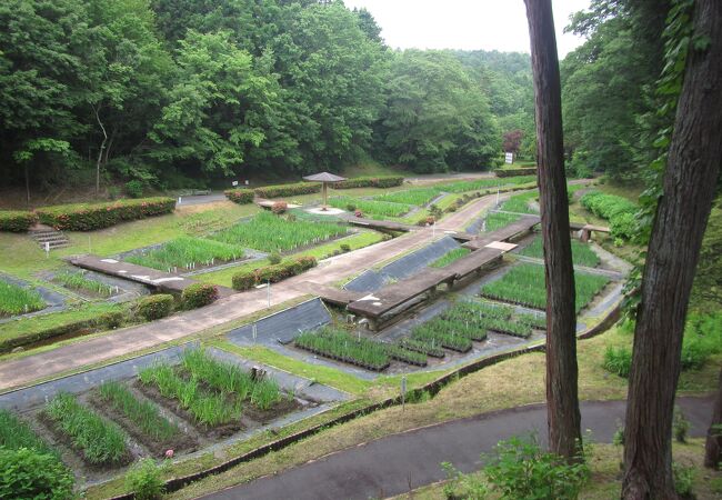 岐阜県百年公園