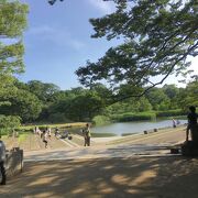 池と緑の公園