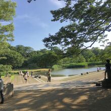 公園中央の池