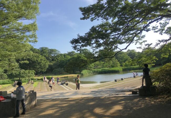 池と緑の公園