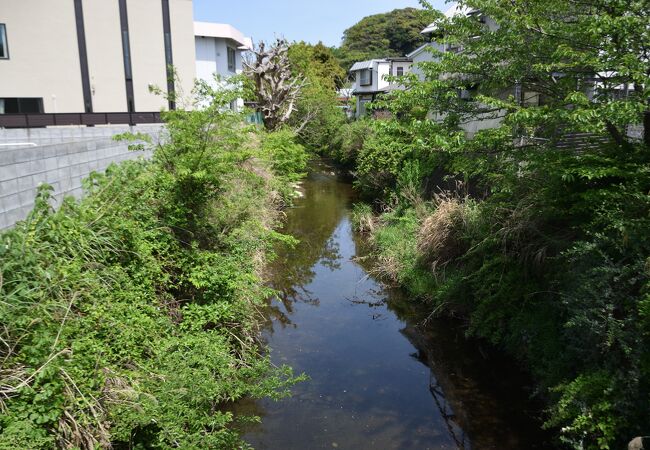 鎌倉市内を流れる小さな川