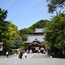 鶴岡八幡宮