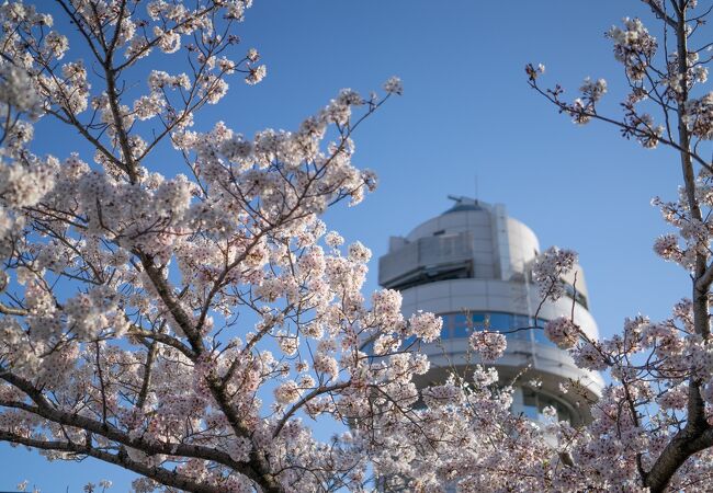 人丸山公園