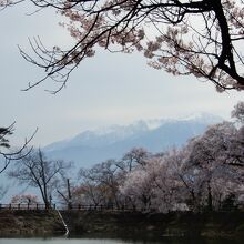 遠くには中央アルプスが見える