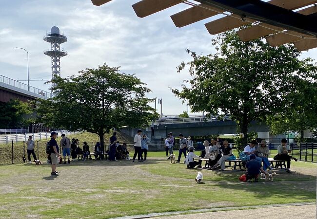 新横浜公園