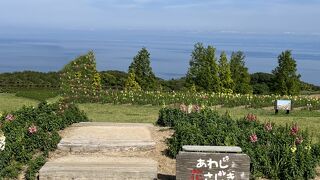 ポピーとキンギョソウがキレイでした