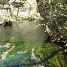左岸側のルート　清水川