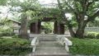 緑多く、砂利が掃き清められた境内が清々しい